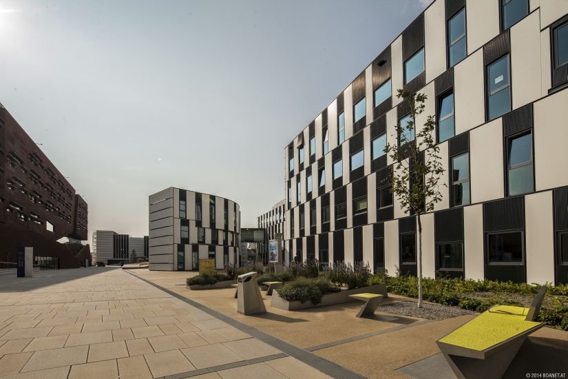 Transversale mit Blindenleitlinien am Campus WU