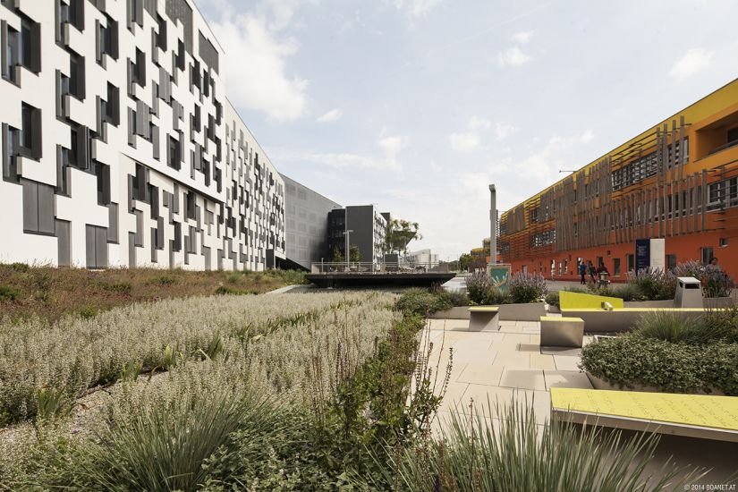 Blick entlang der Transversale Campus WU