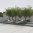 Rendering Campus WU - Expo-Platz Rendering
