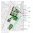 Stadt 2000 Lageplan